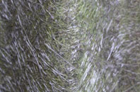 Kennards House fibreglass roof work